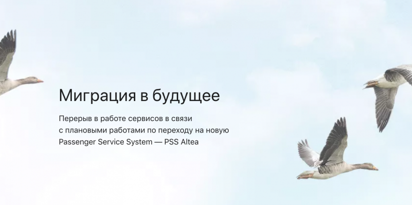 Сервисы авиакомпании «S7» будут недоступны с 10 ноября в 22:30 по Москве на несколько часов