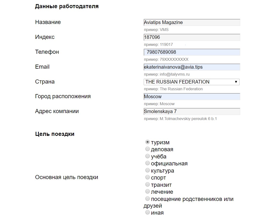 Данные о работодателе. Наименование документа в анкете. Индекс документа анкета. Данные работодателя для визы в Италию ИП.