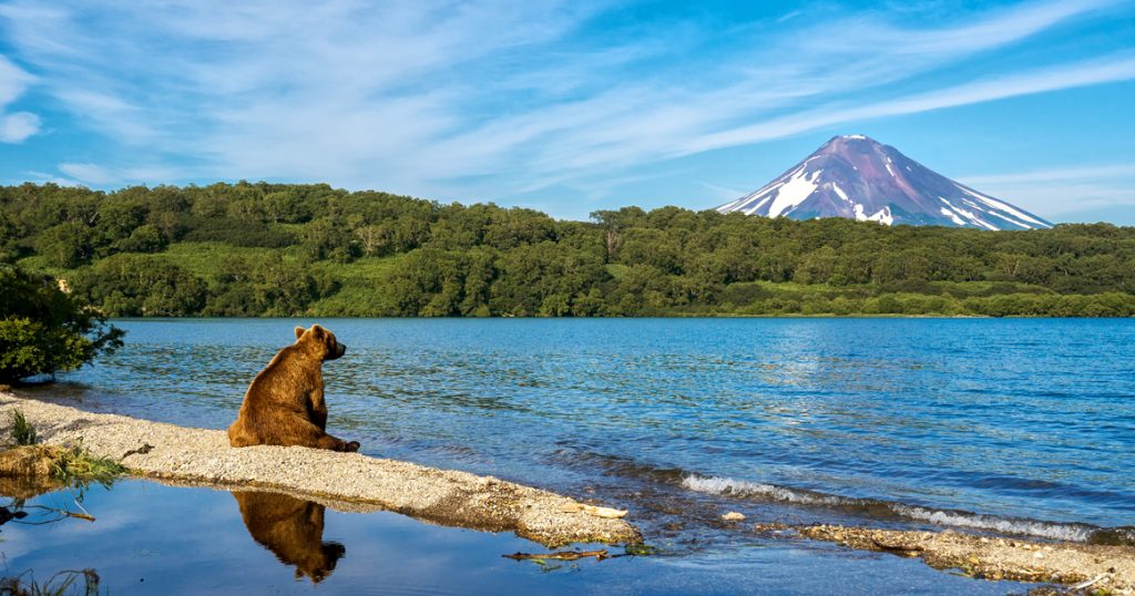 shutterstock1431779774